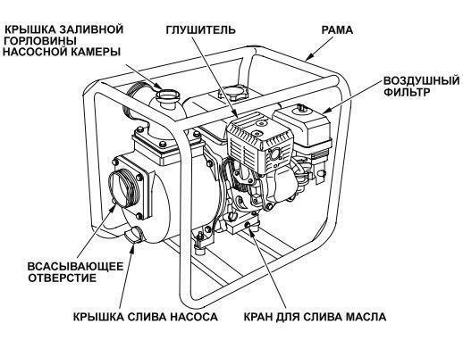 Схема мотопомпы Honda WB30, картинка